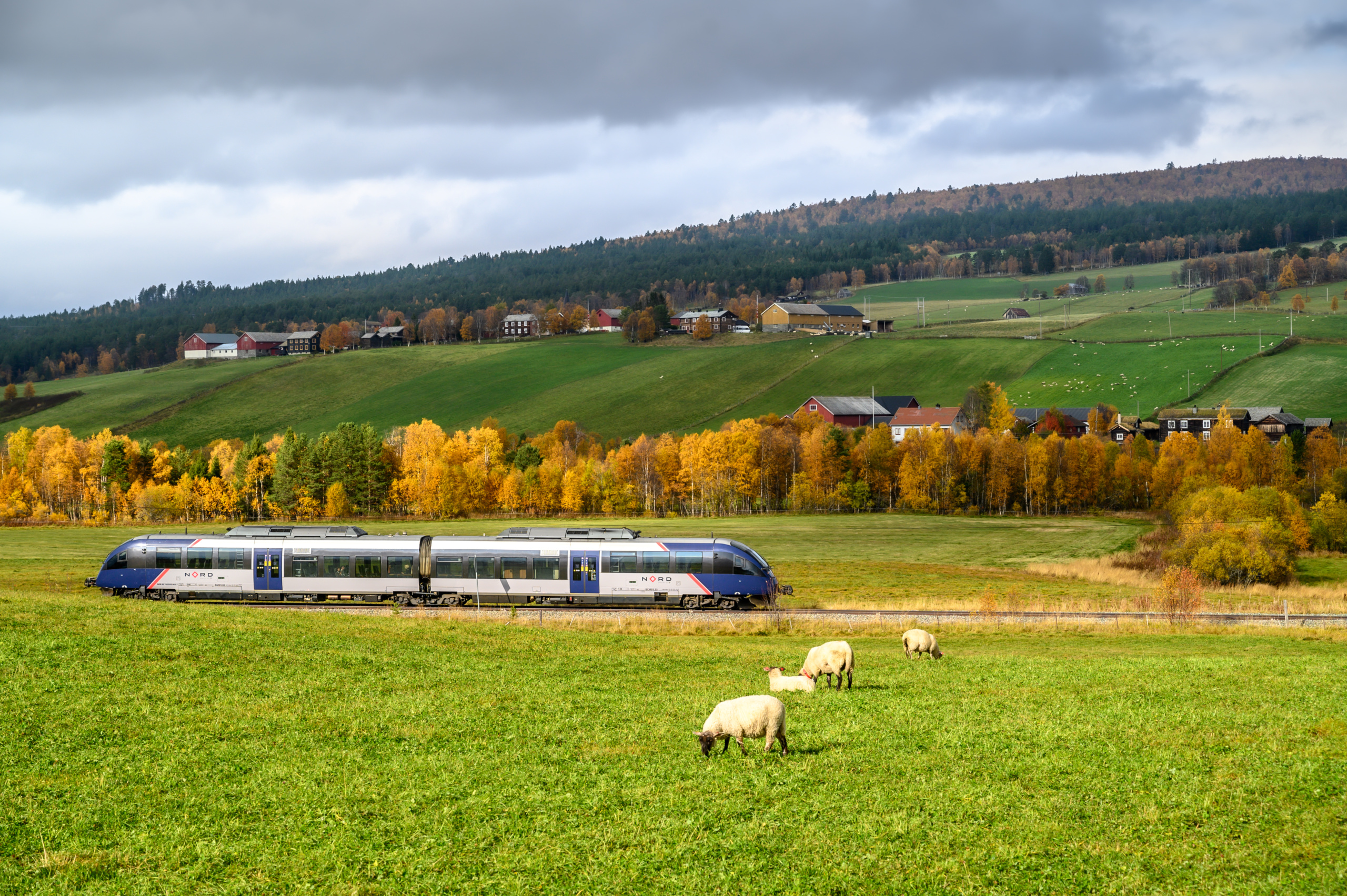 Tog på Rørosbanen