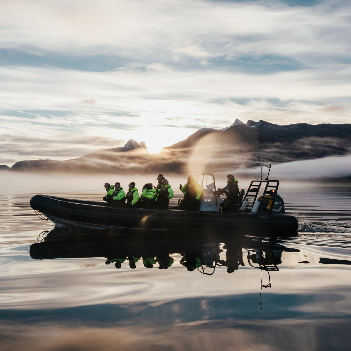 RIB safari Bodø