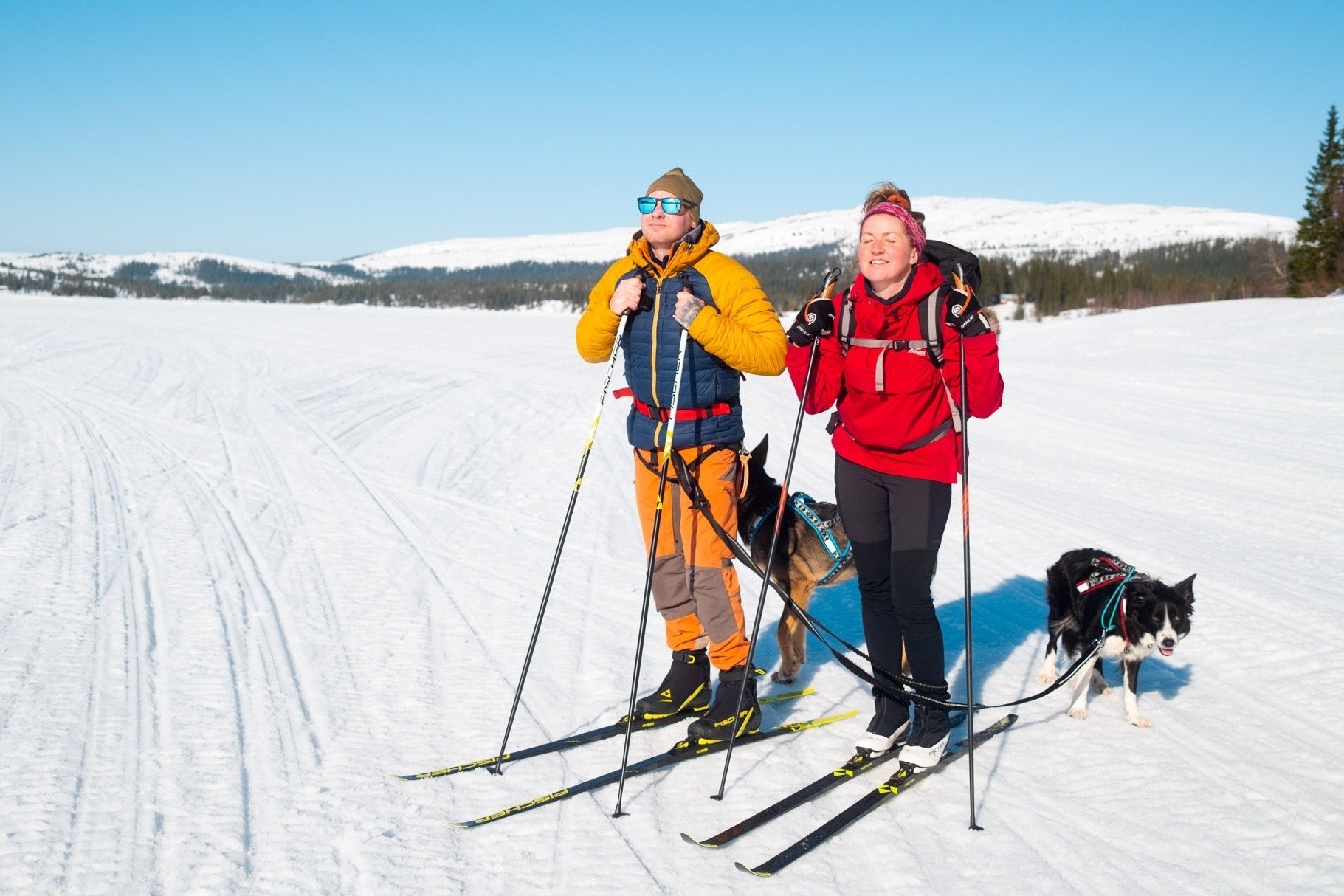Mann, dame og hund på skitur på Malm