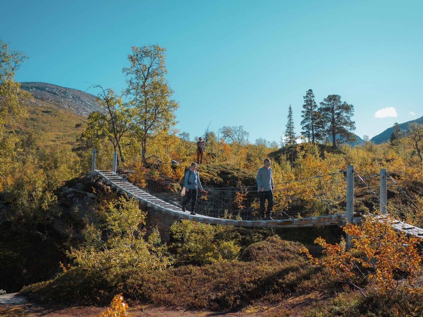 Lomsdal-Visten nasjonalpark