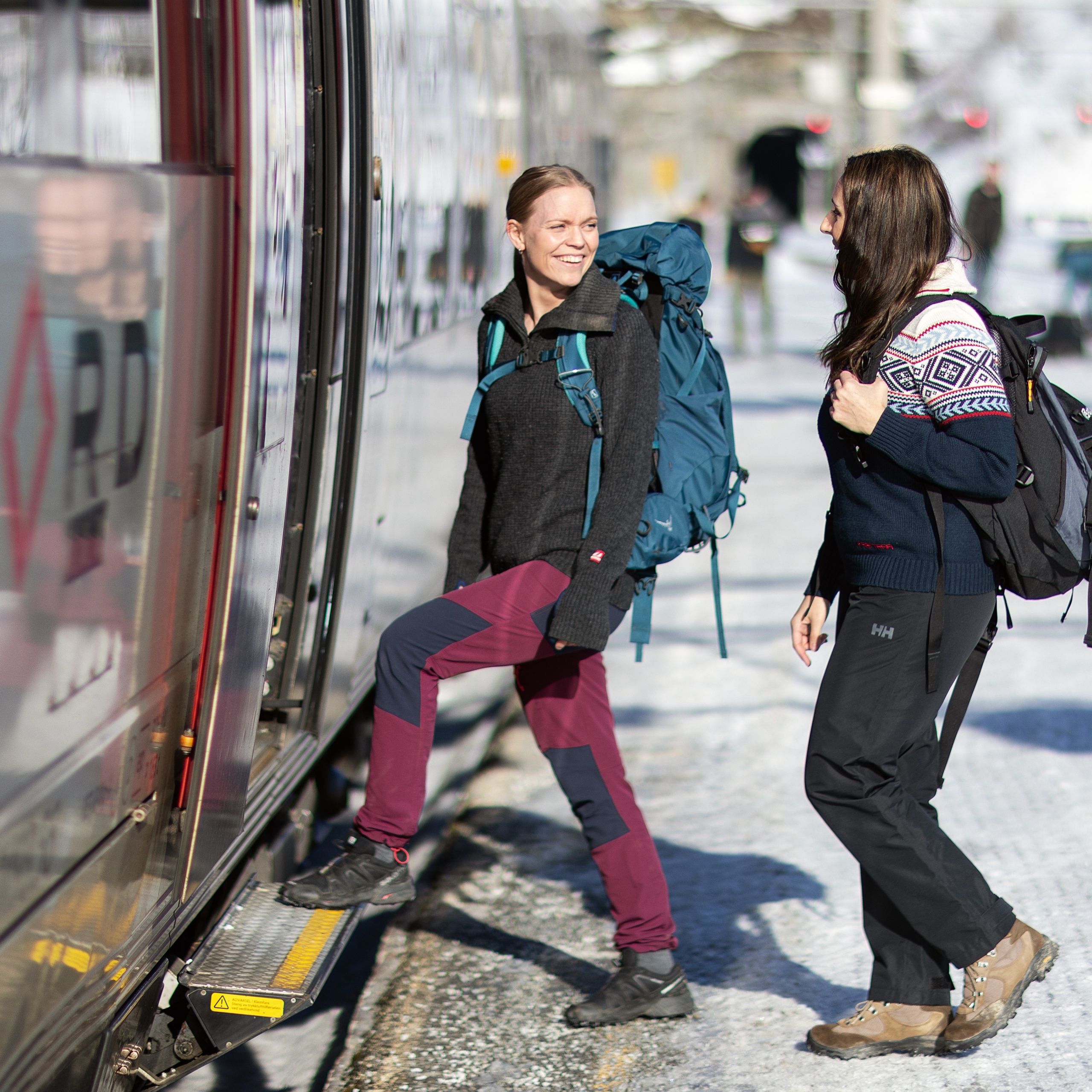 To venner tar toget til fjells